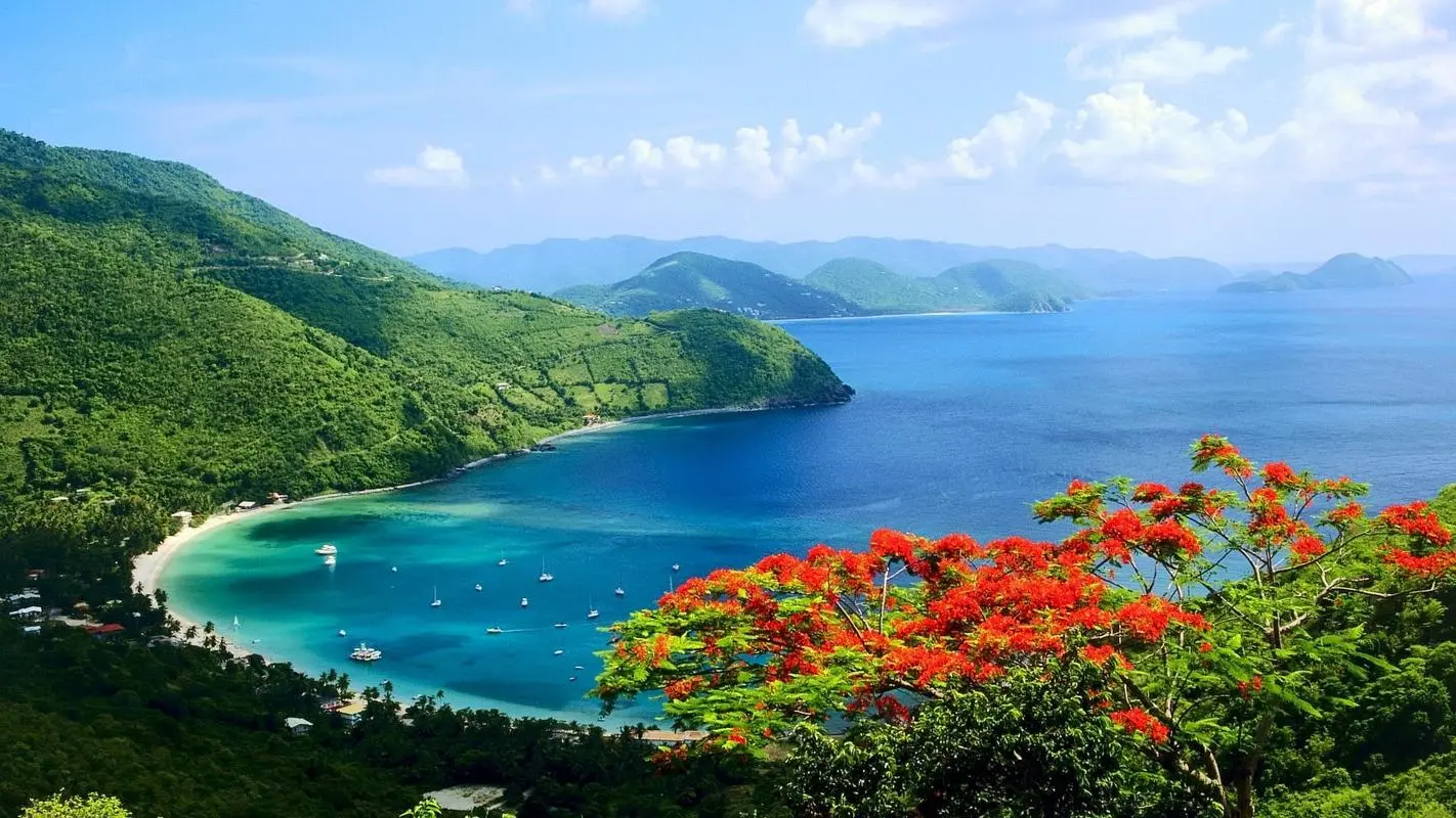 自动化工业